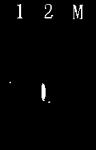 Method for extracting DNA of citrus canker by water bath precipitation