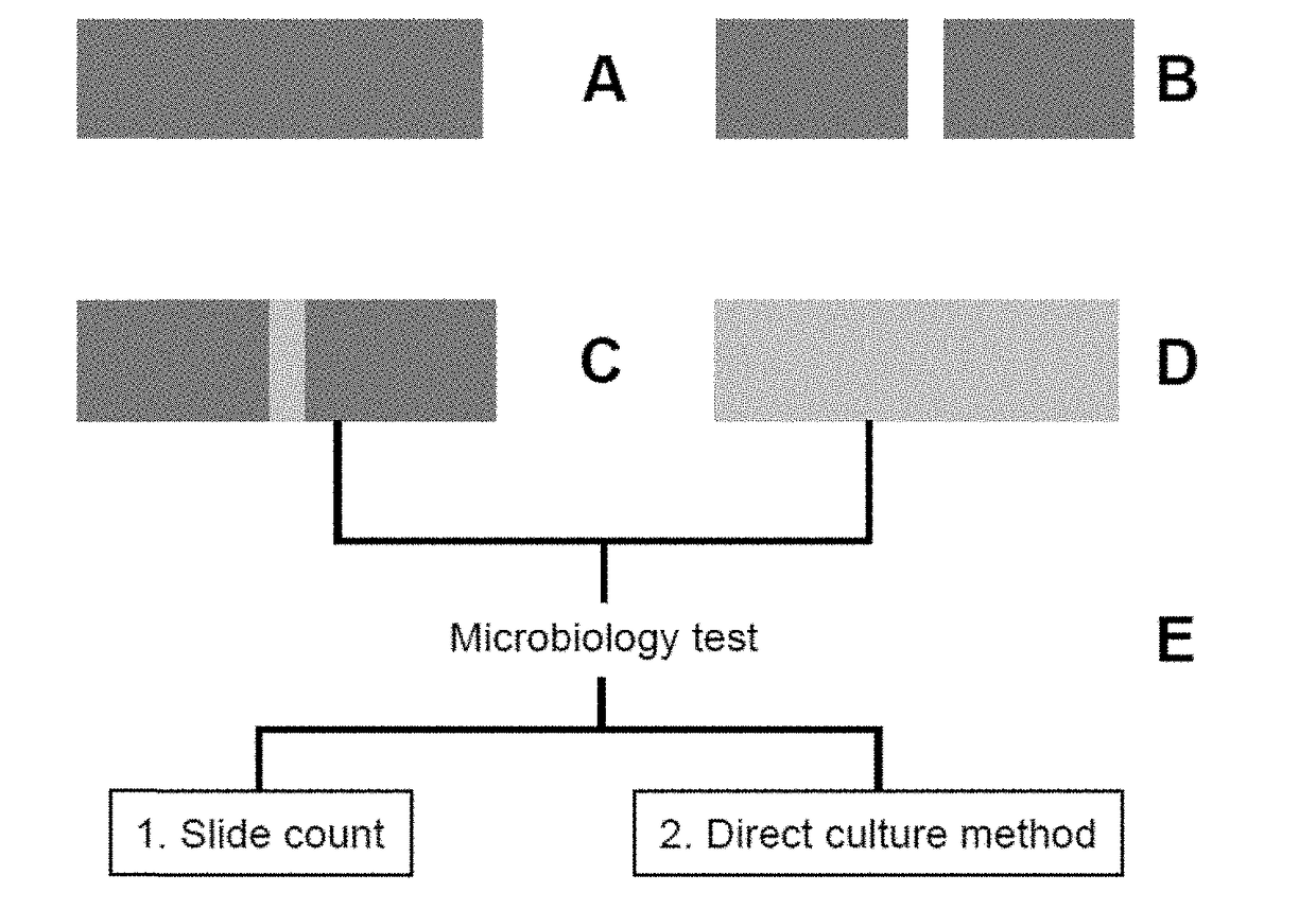 Method of preventing or treating oral infections using zirconia autopolymerizable resins