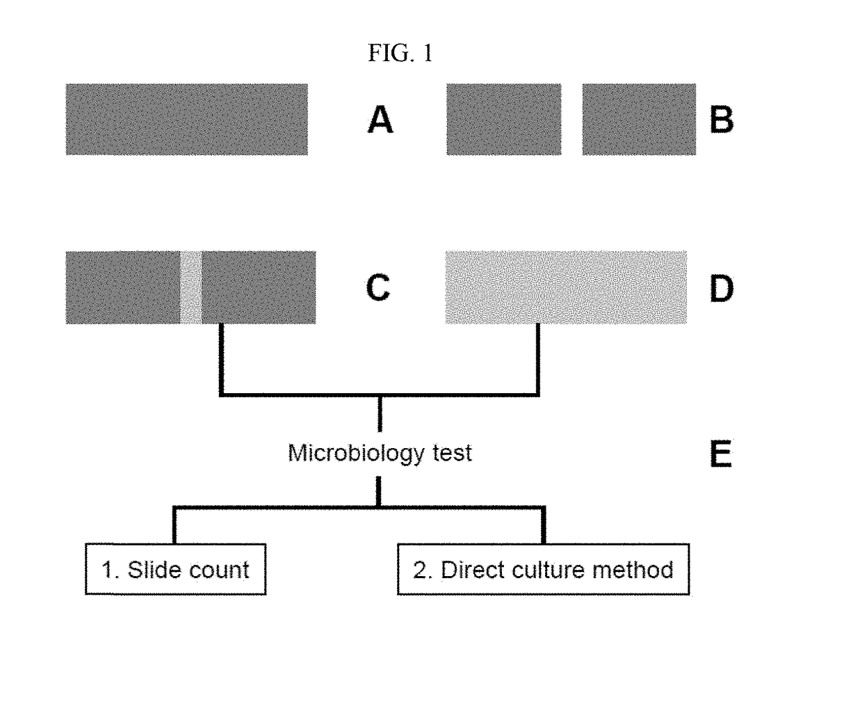 Method of preventing or treating oral infections using zirconia autopolymerizable resins