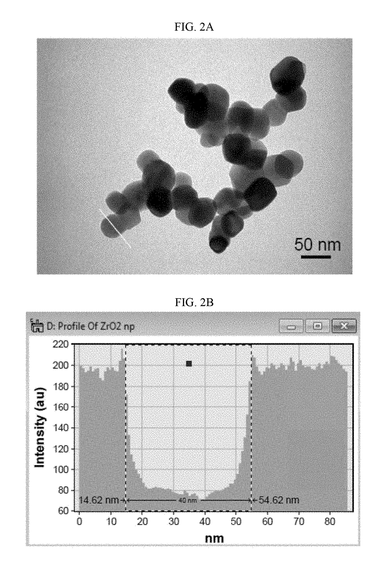 Method of preventing or treating oral infections using zirconia autopolymerizable resins