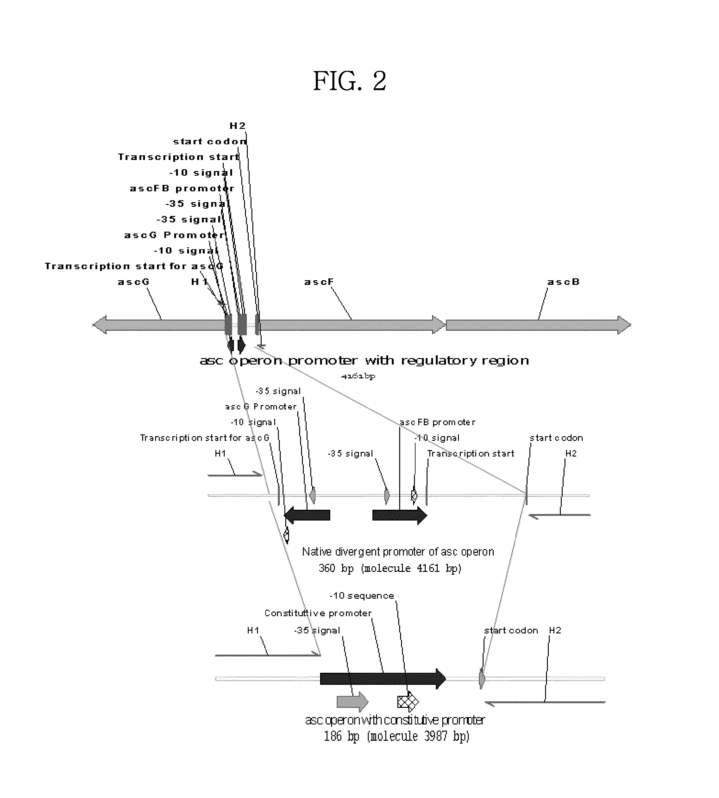 Mutant microorganism with enhanced sugar utilization and methods for preparing the same