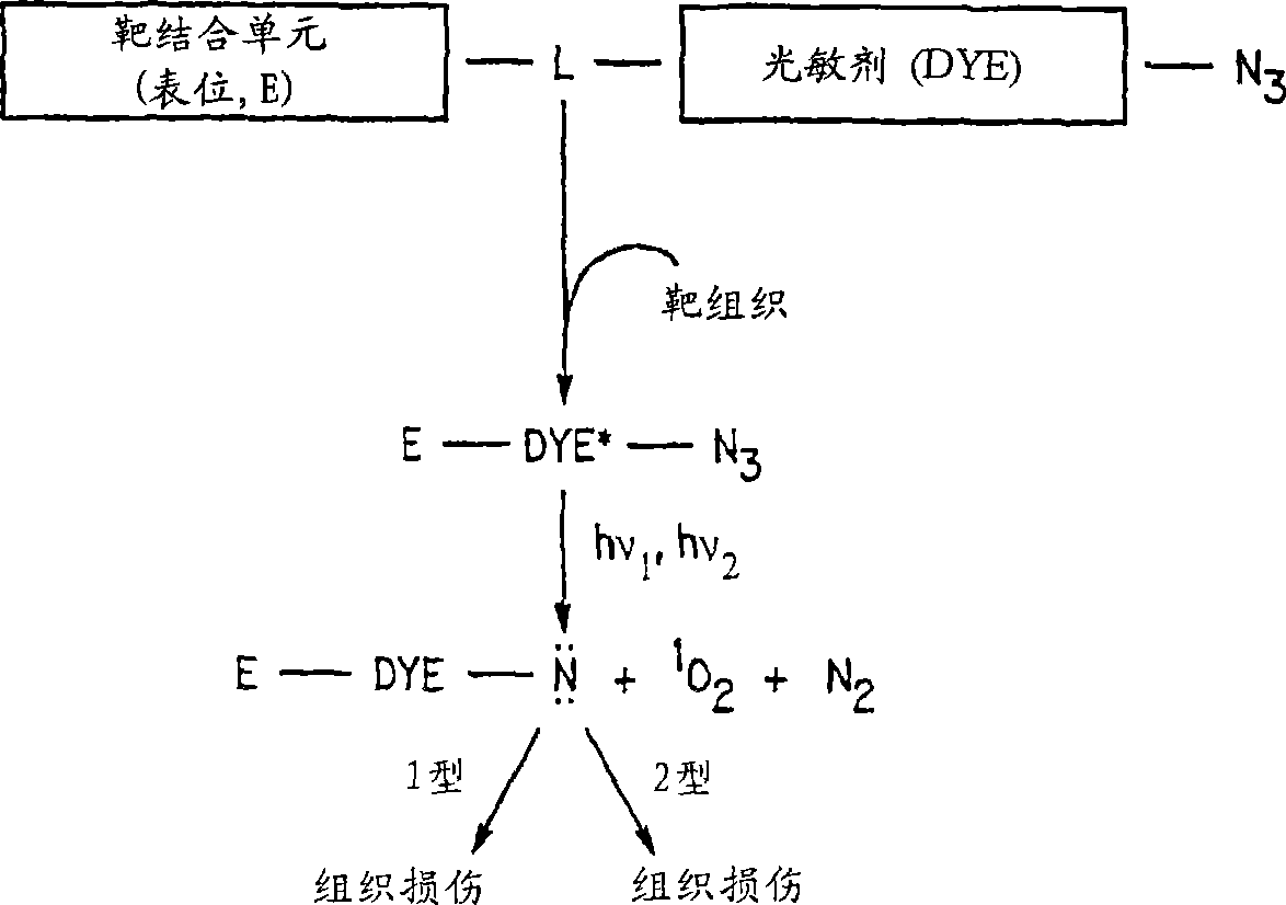 Compounds for dual photodiagnosis and therapy