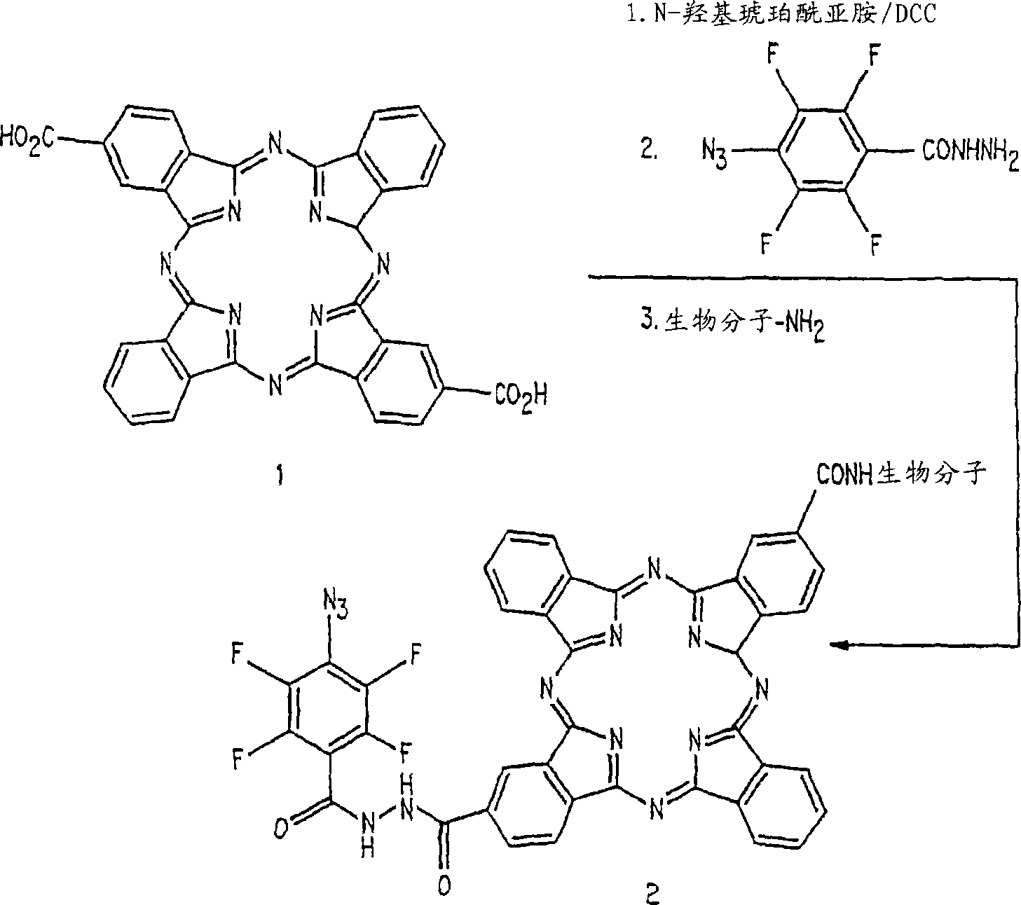 Compounds for dual photodiagnosis and therapy