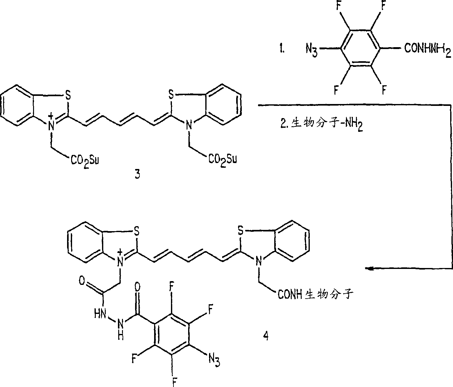 Compounds for dual photodiagnosis and therapy