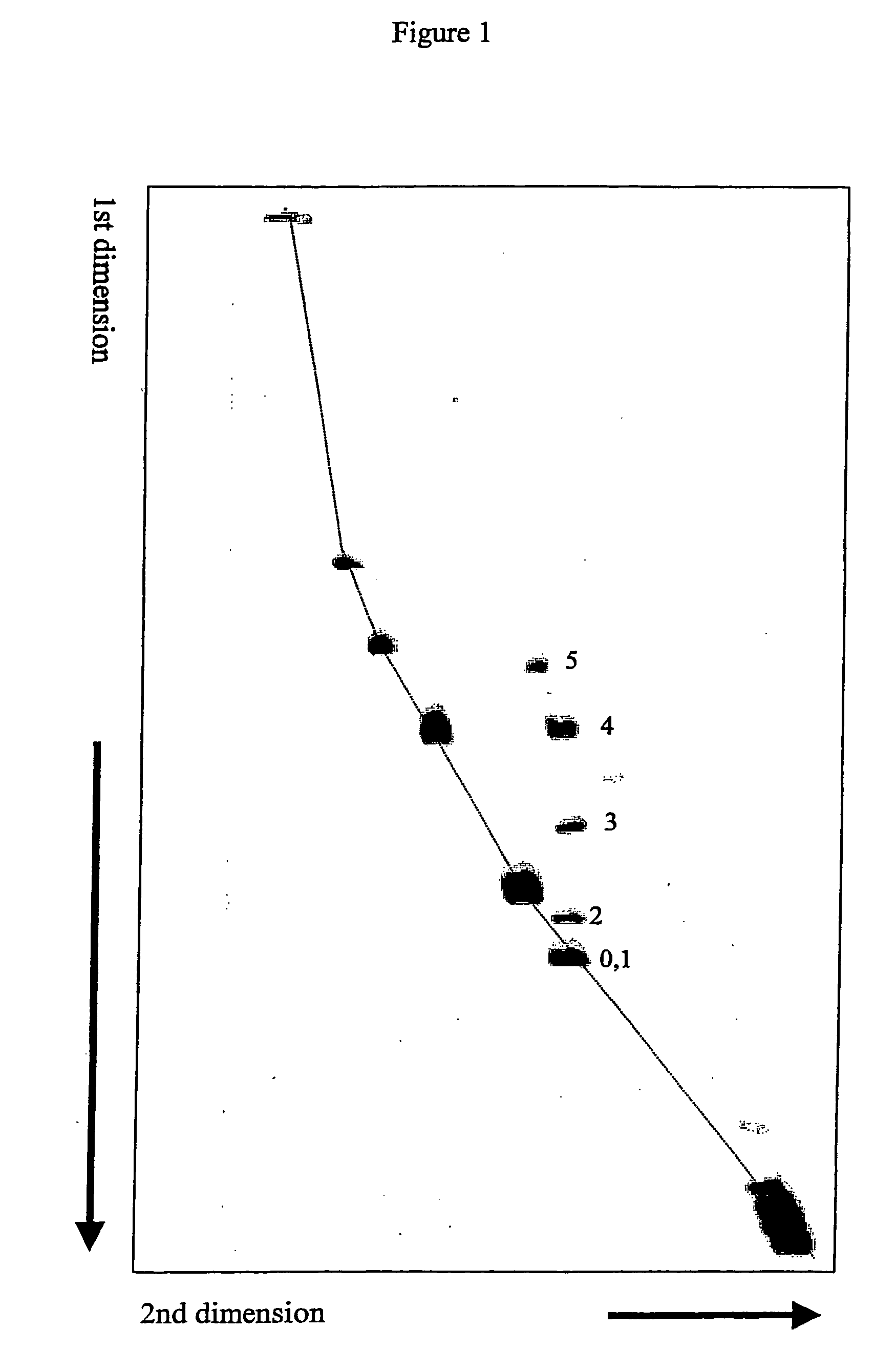 Method for two-dimensional conformation-dependent separation of non-circular nucleic acids