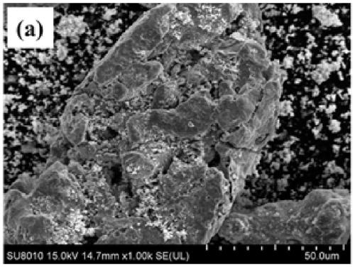 A method for removing antibiotic resistance genes in livestock and poultry wastewater