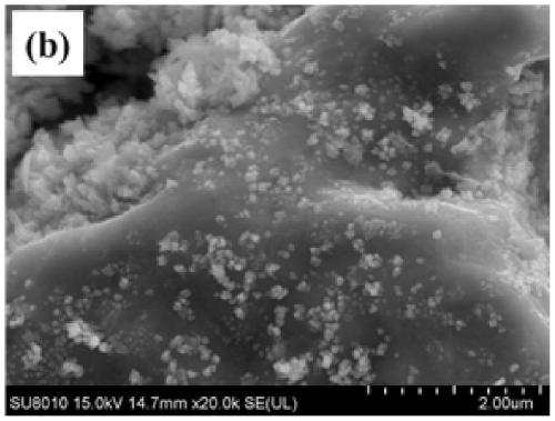 A method for removing antibiotic resistance genes in livestock and poultry wastewater