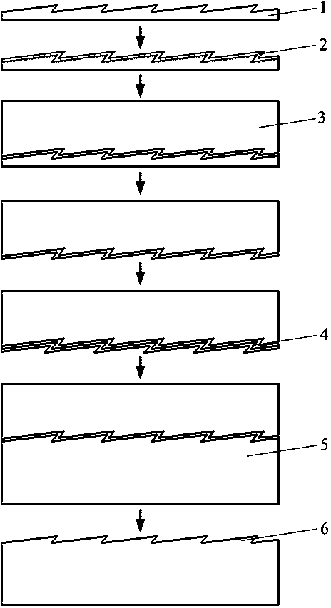 Method of reversely electroforming bionic replica surface directly by thin and brittle type biological surface