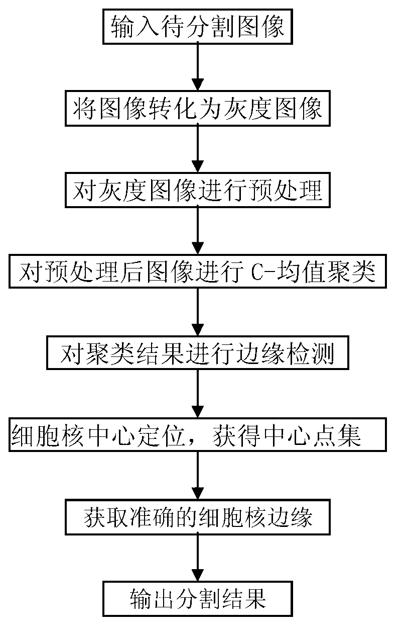 Positioning and partition method for human tissue cell two-photon microscopic image