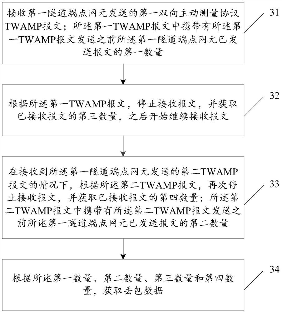 Information processing method and device and tunnel endpoint network element