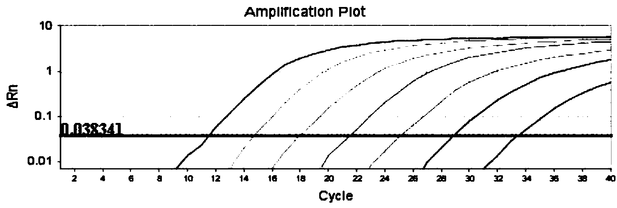 Primer probe combination for simultaneously detecting four types of candida and kit thereof