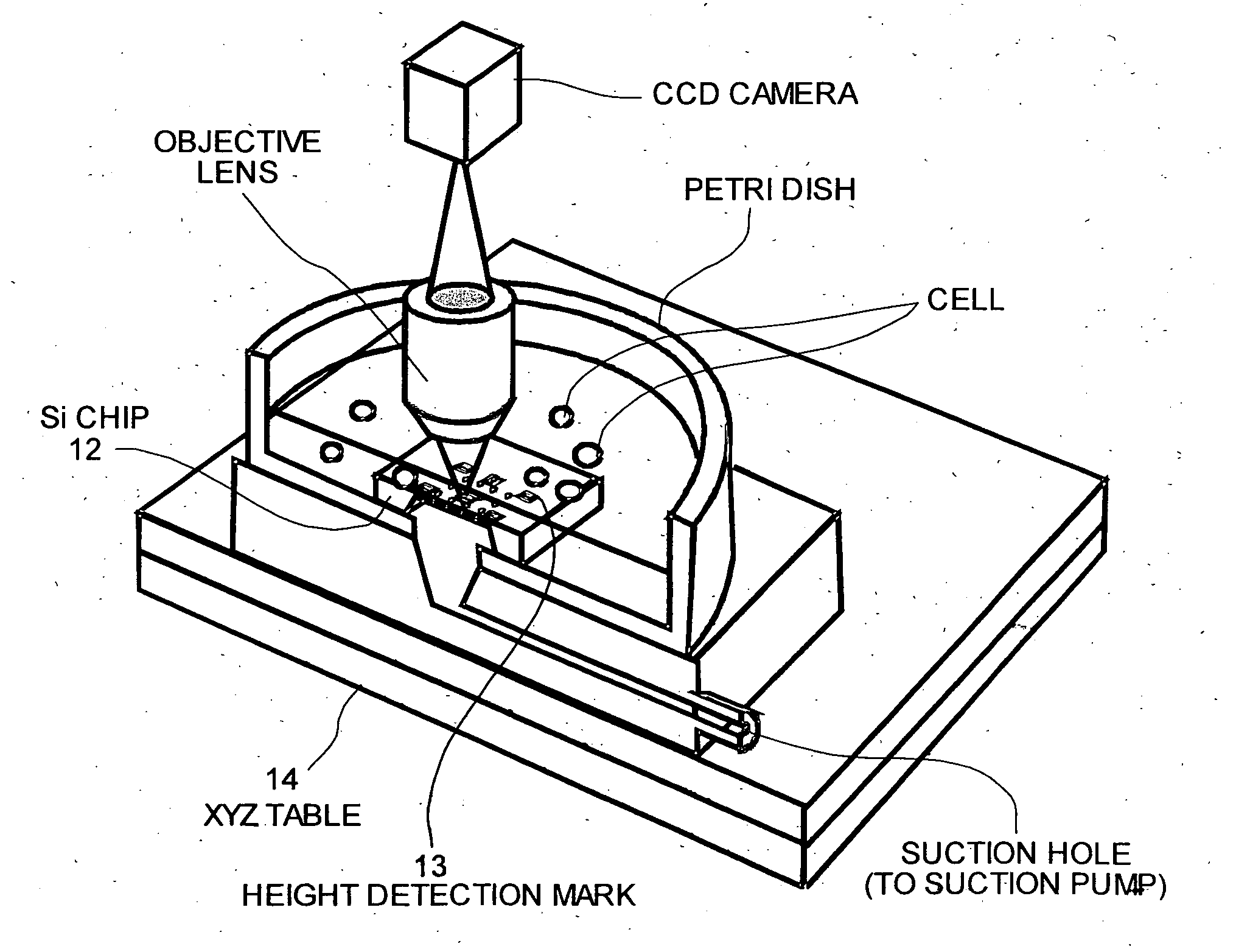 Microinjection device and microinjection method