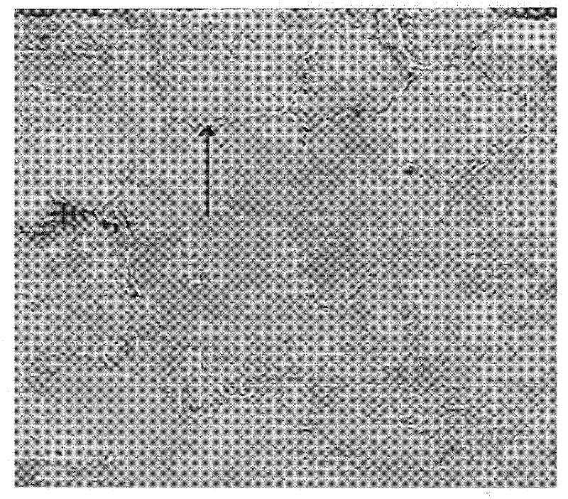 Wire rod, steel wire and method for manufacturing wire rod