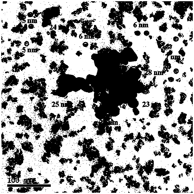 Nano titanium dioxide photocatalyst with double particle size distribution and preparation method thereof