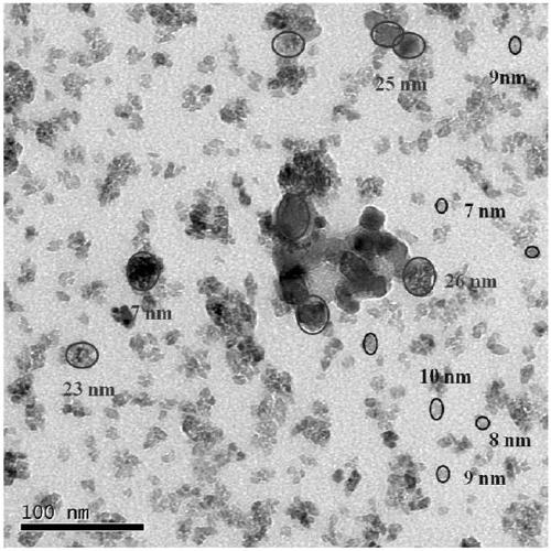 Nano titanium dioxide photocatalyst with double particle size distribution and preparation method thereof