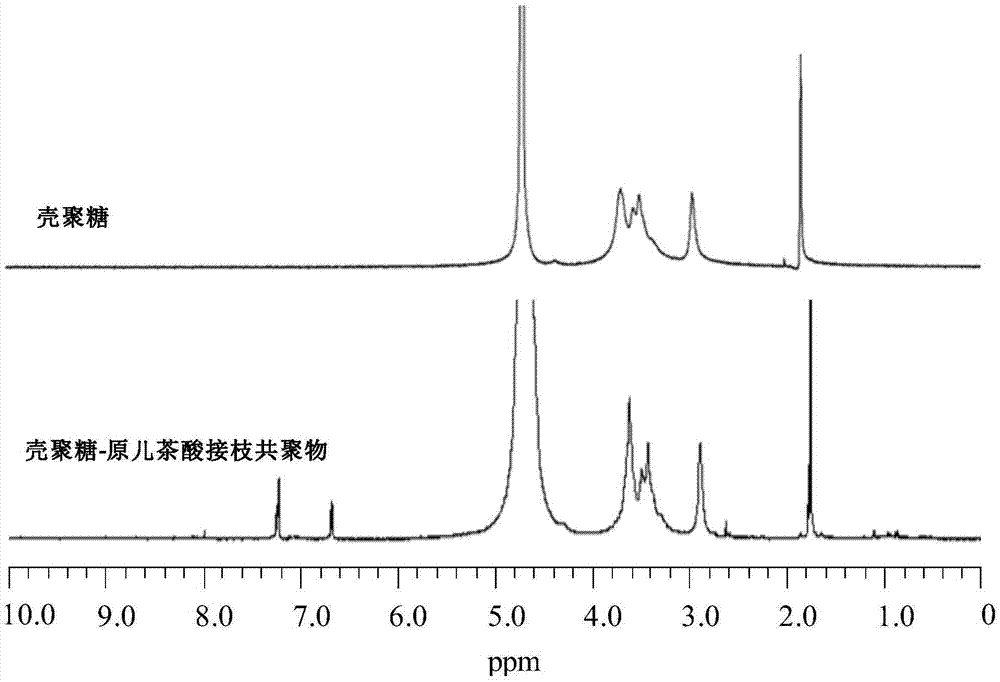 Preparation method of phenolic acid-modified chitosan coating liquid for fresh keeping of edible fungus