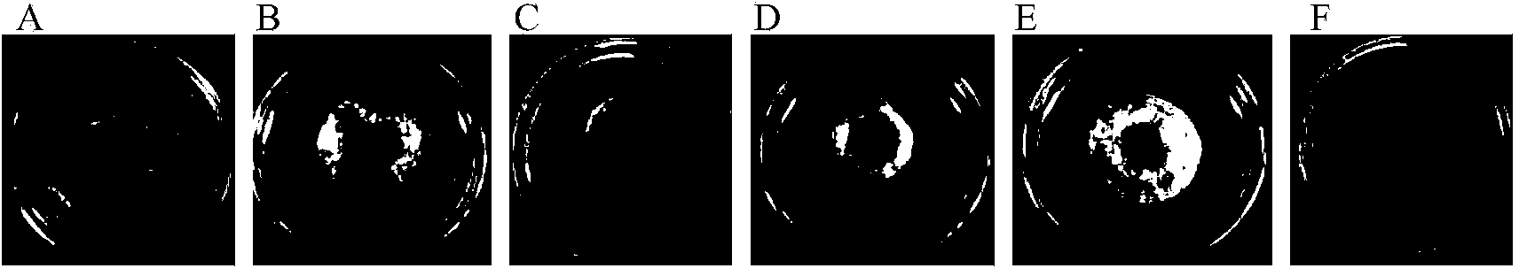 Gerbera piloselloides extractive, as well as preparation method and application thereof