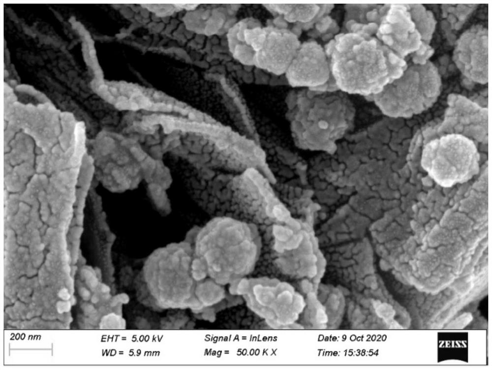 Method for detecting nitroimidazole antibiotics in honey and sample treatment method