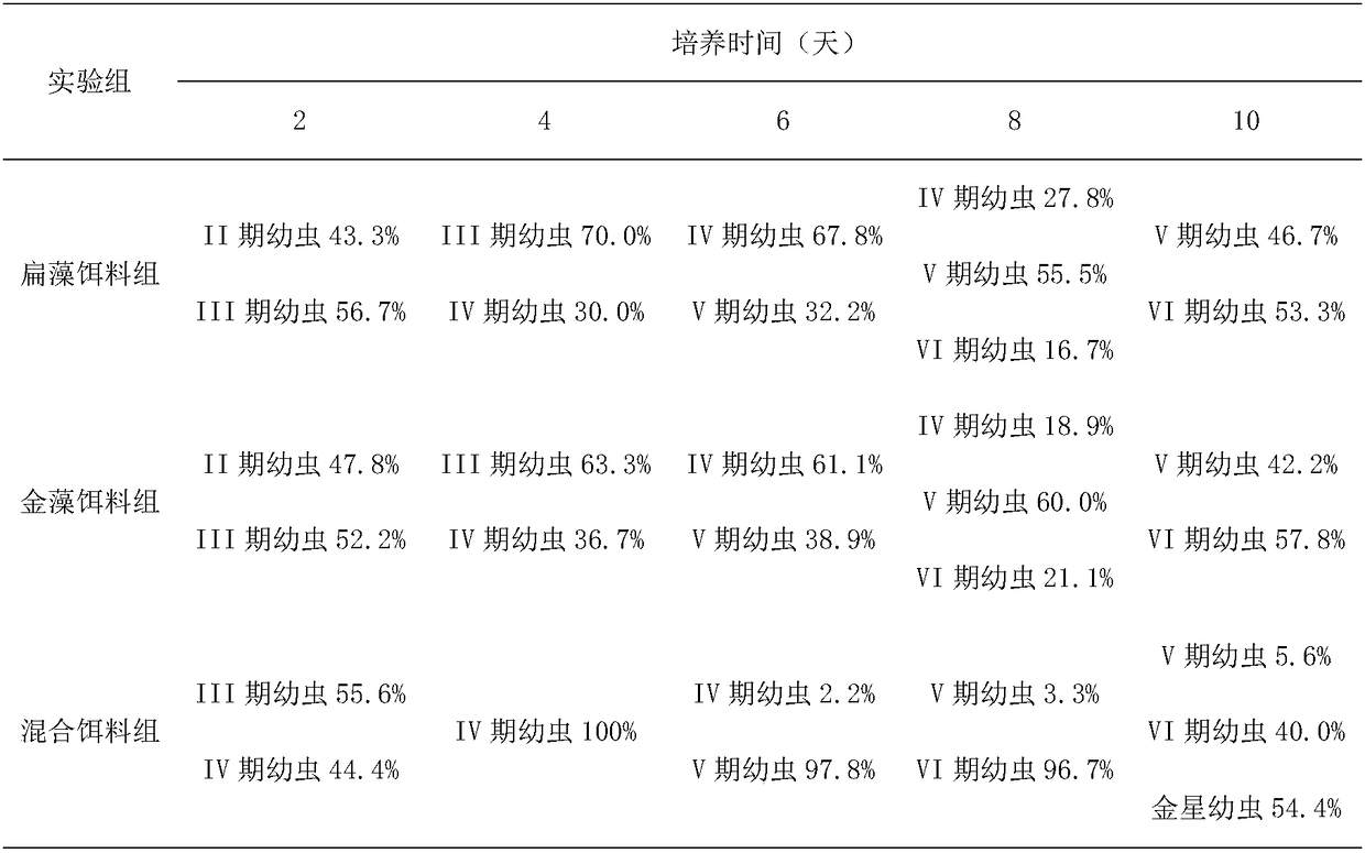 Simple and quick method for cultivating larvae of Tetraclita squamosa squamosa