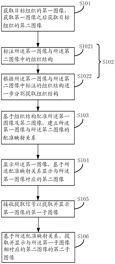 Image processing system and method