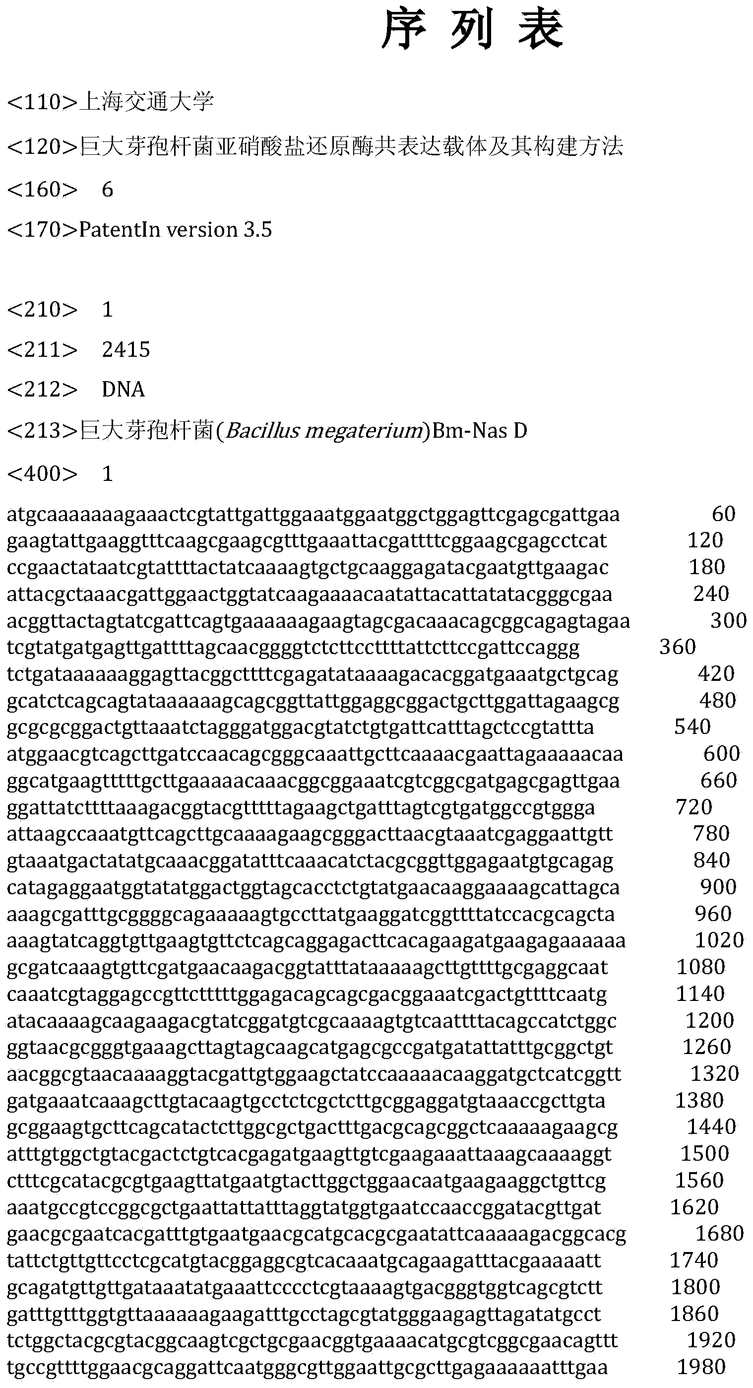 Bacillus megaterium co-expression vector for nitrite reductase and construction method thereof