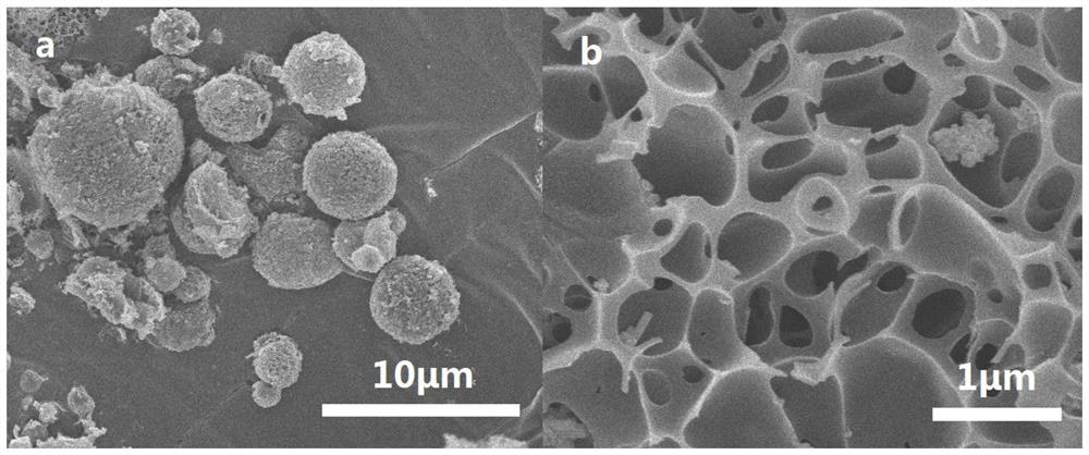 A loaded carbon quantum dot/w  <sub>18</sub> o  <sub>49</sub> Preparation method of photocatalytic renewable porous carbon adsorbent