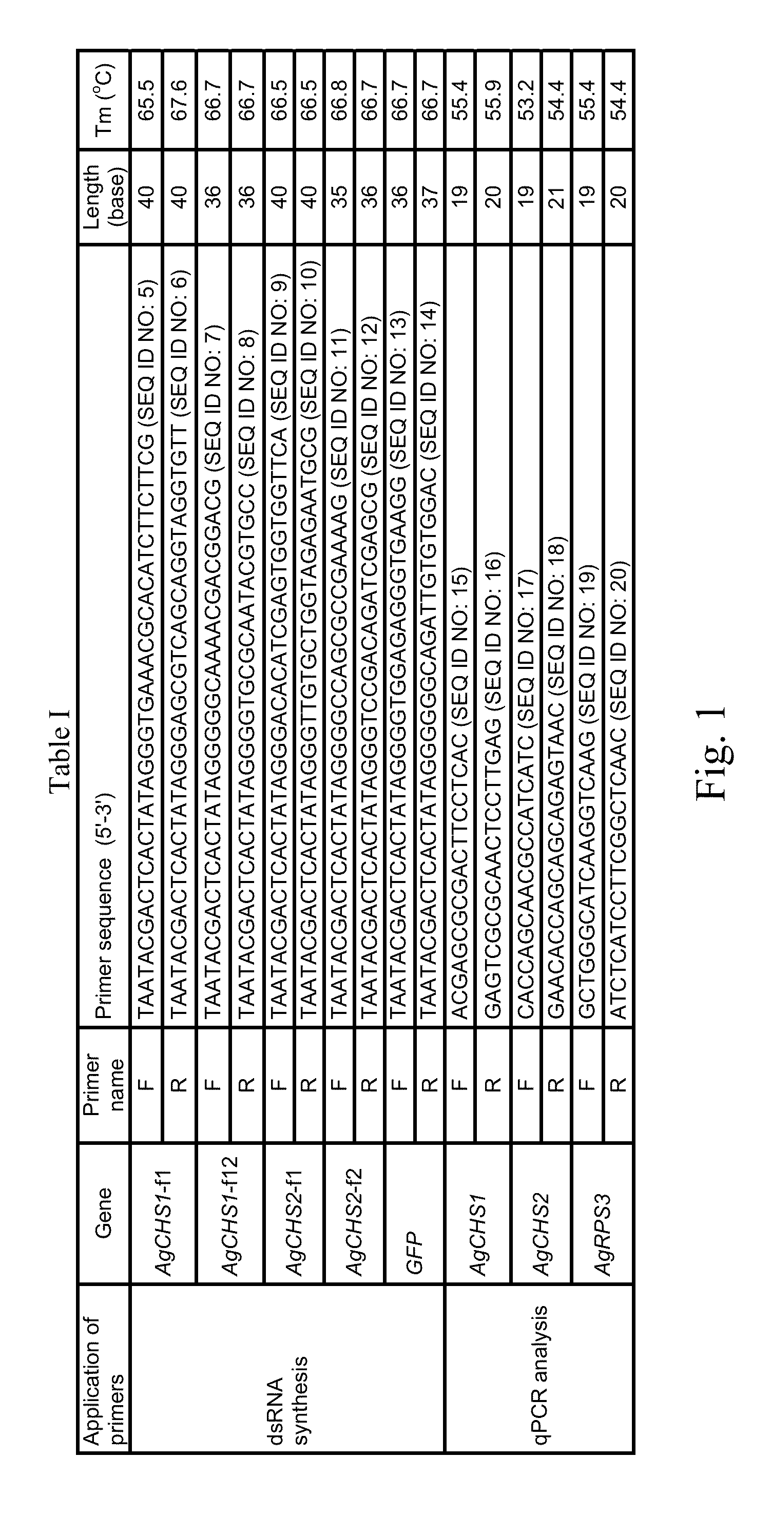 Double-stranded RNA-based nanoparticles for insect gene silencing