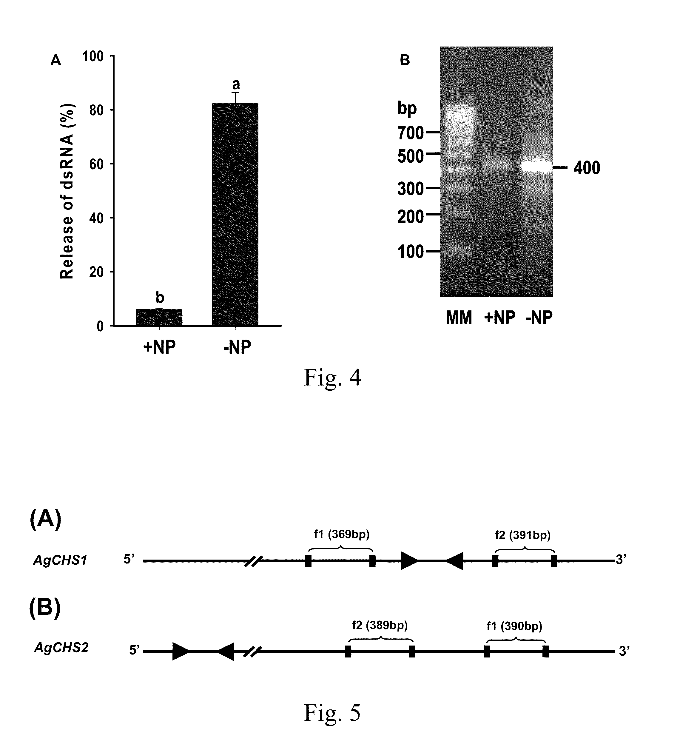 Double-stranded RNA-based nanoparticles for insect gene silencing