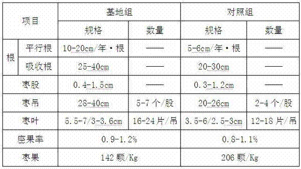 Method for producing jujube with chitin