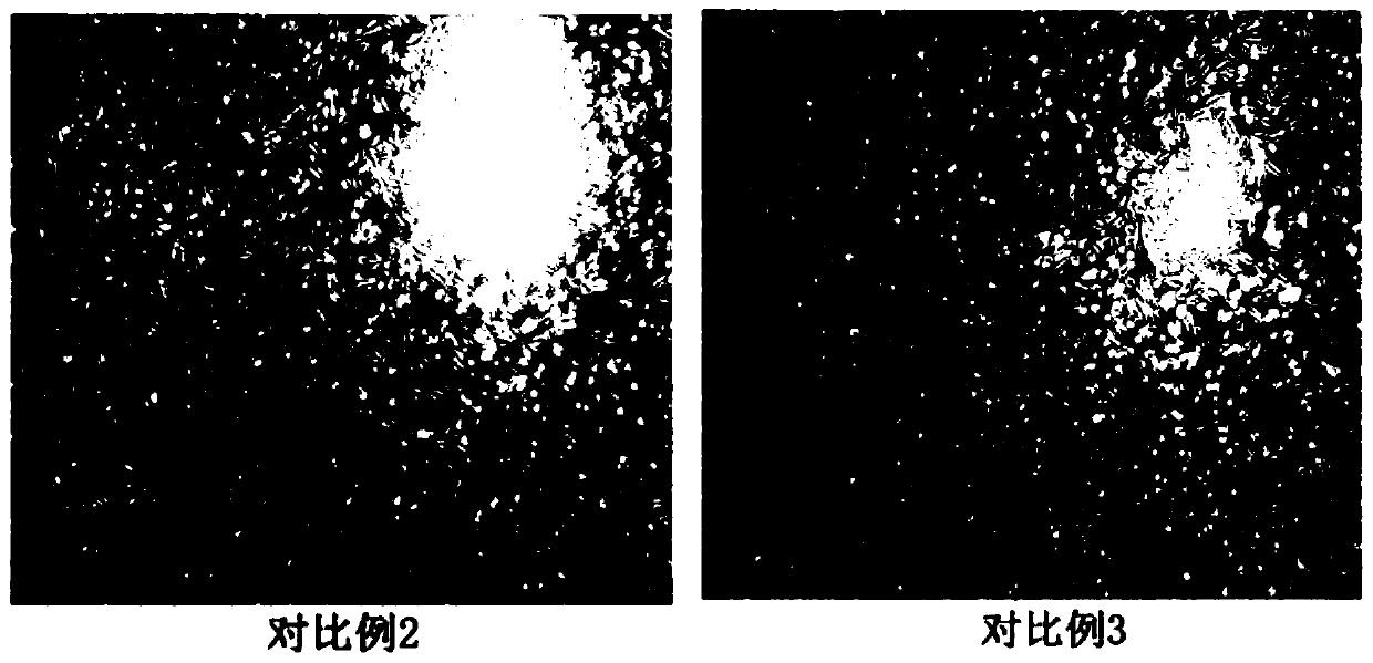 Stem cell freezing and storing medium and preparation method and freezing and storing method thereof