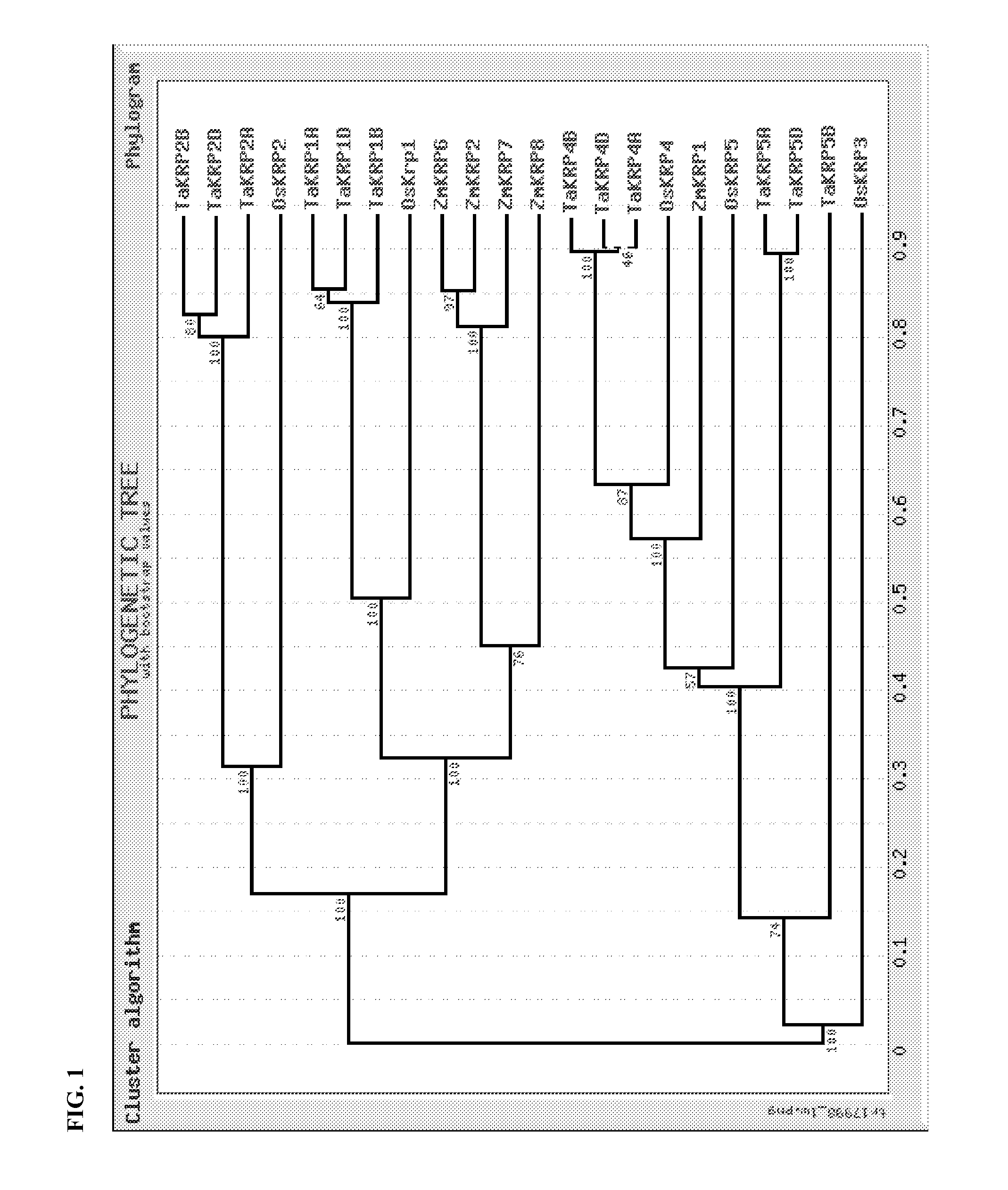 Identification and use of KRP mutants in wheat