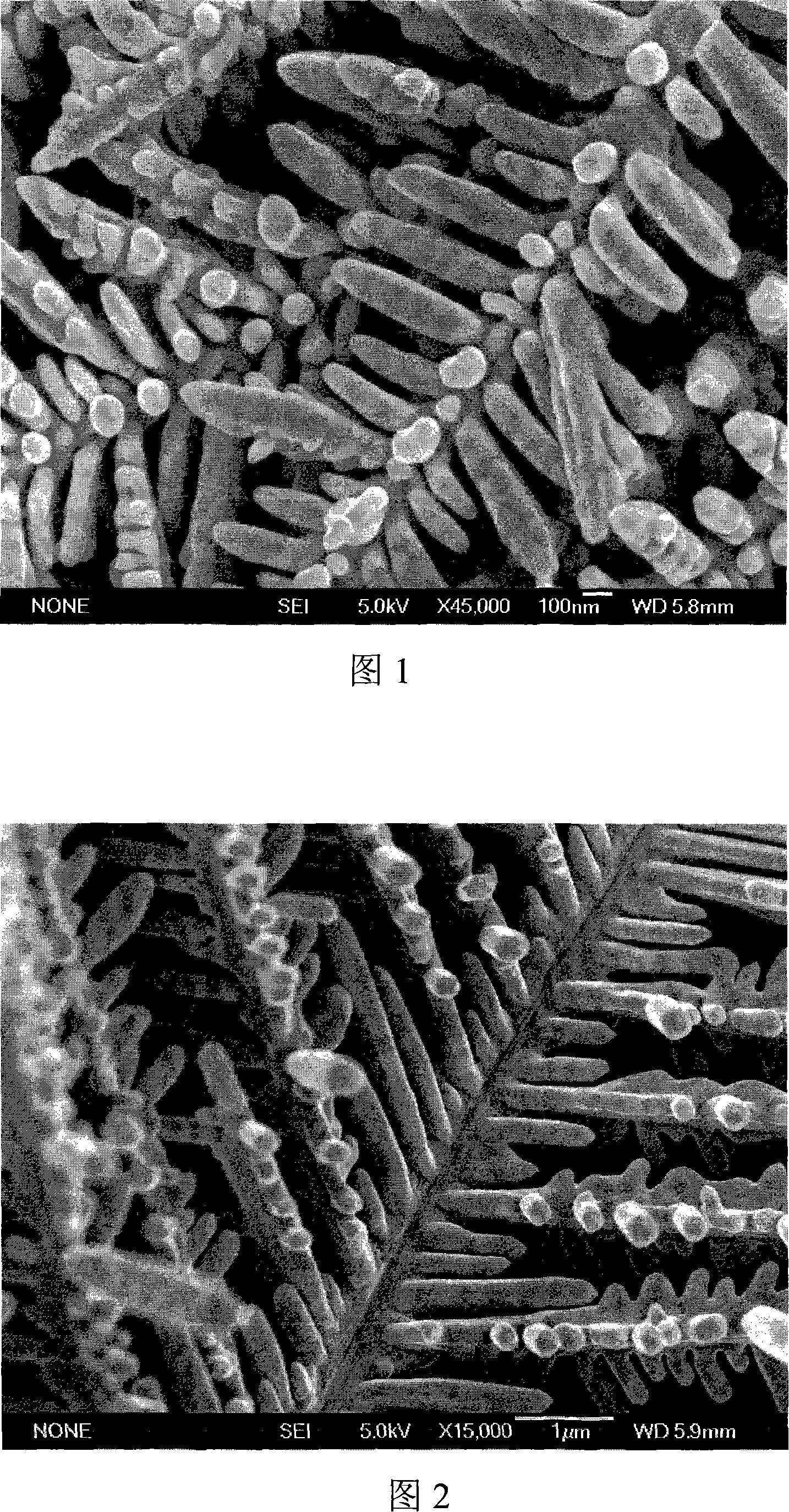 Dendritic silver selenide nano crystal thin film material and preparation method