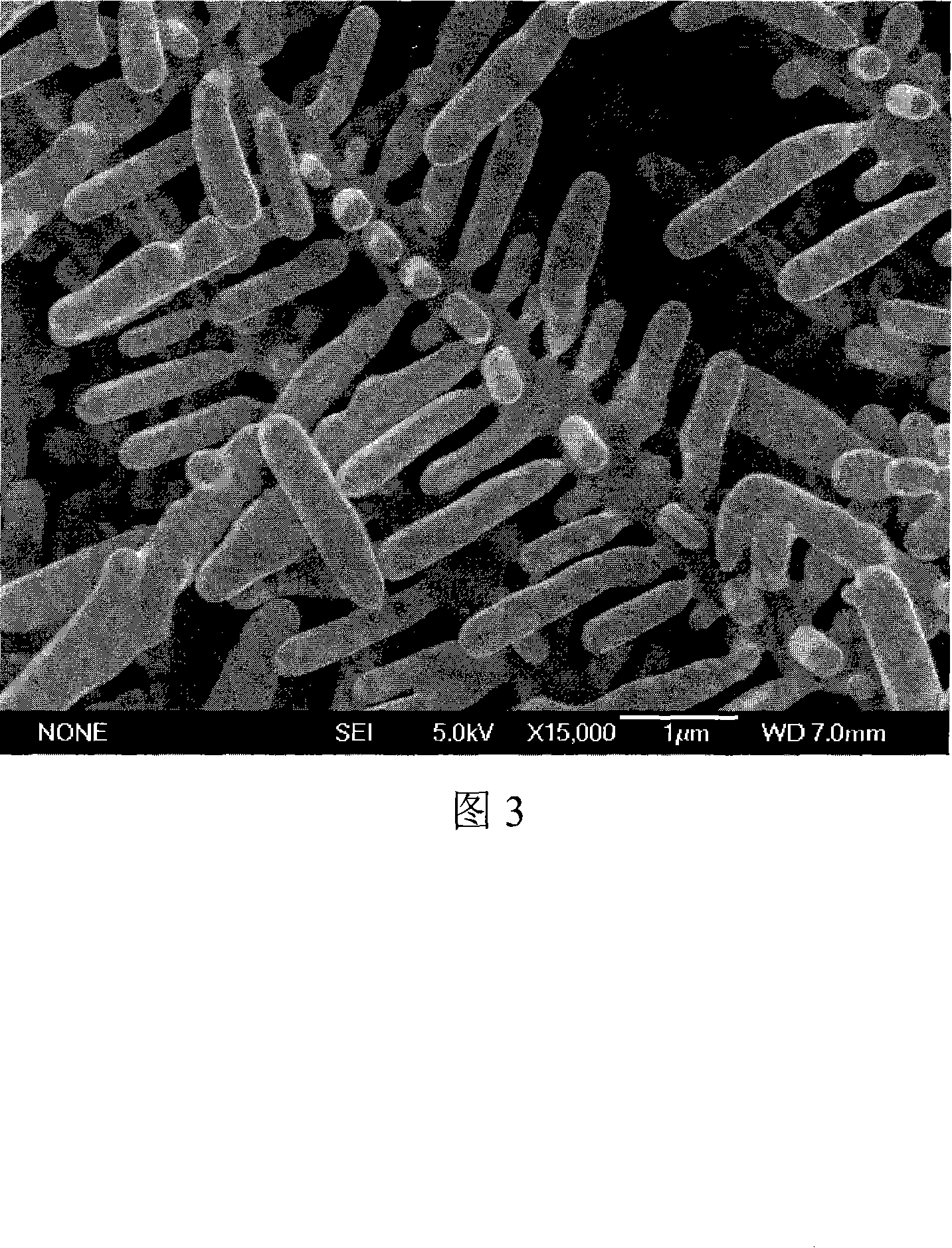 Dendritic silver selenide nano crystal thin film material and preparation method