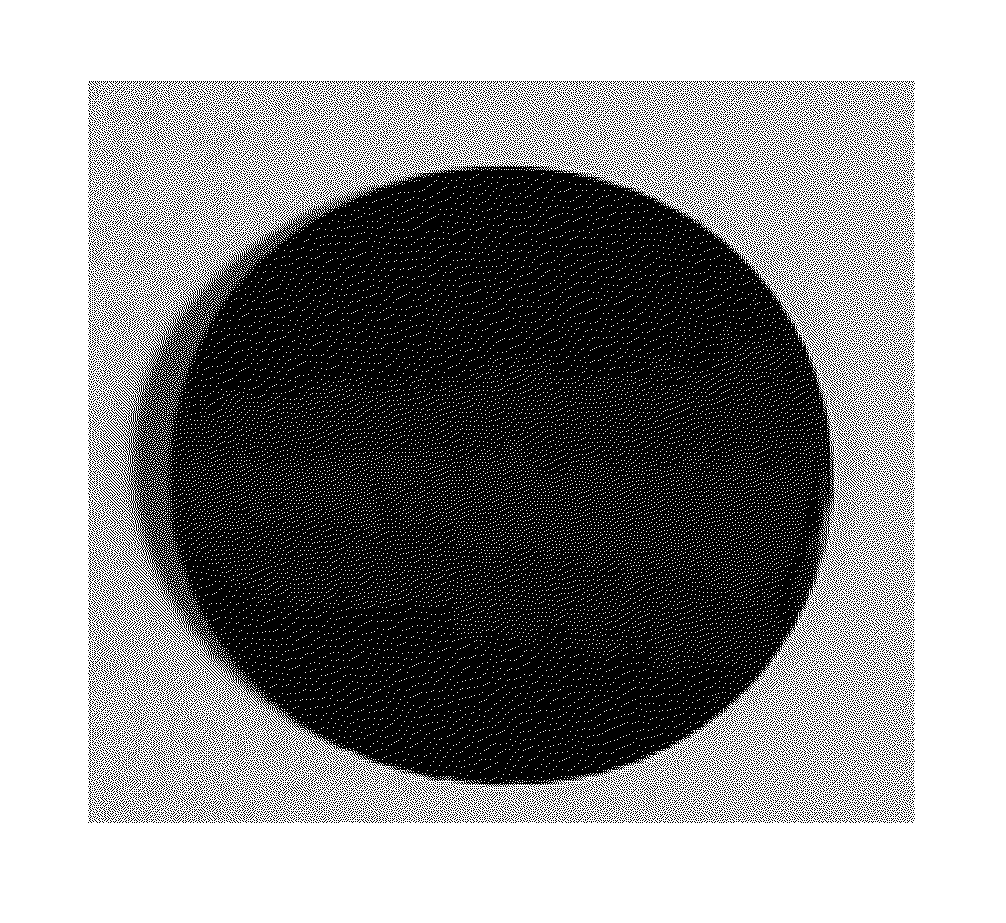 Cathode current collector coated with primer and magnesium secondary battery comprising the same