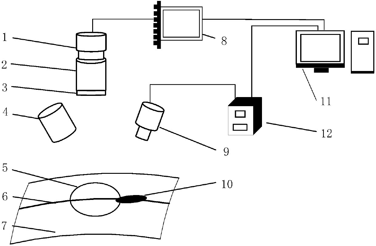 Front-view-distance-free butt joint spliced seam composite visual detection system and method