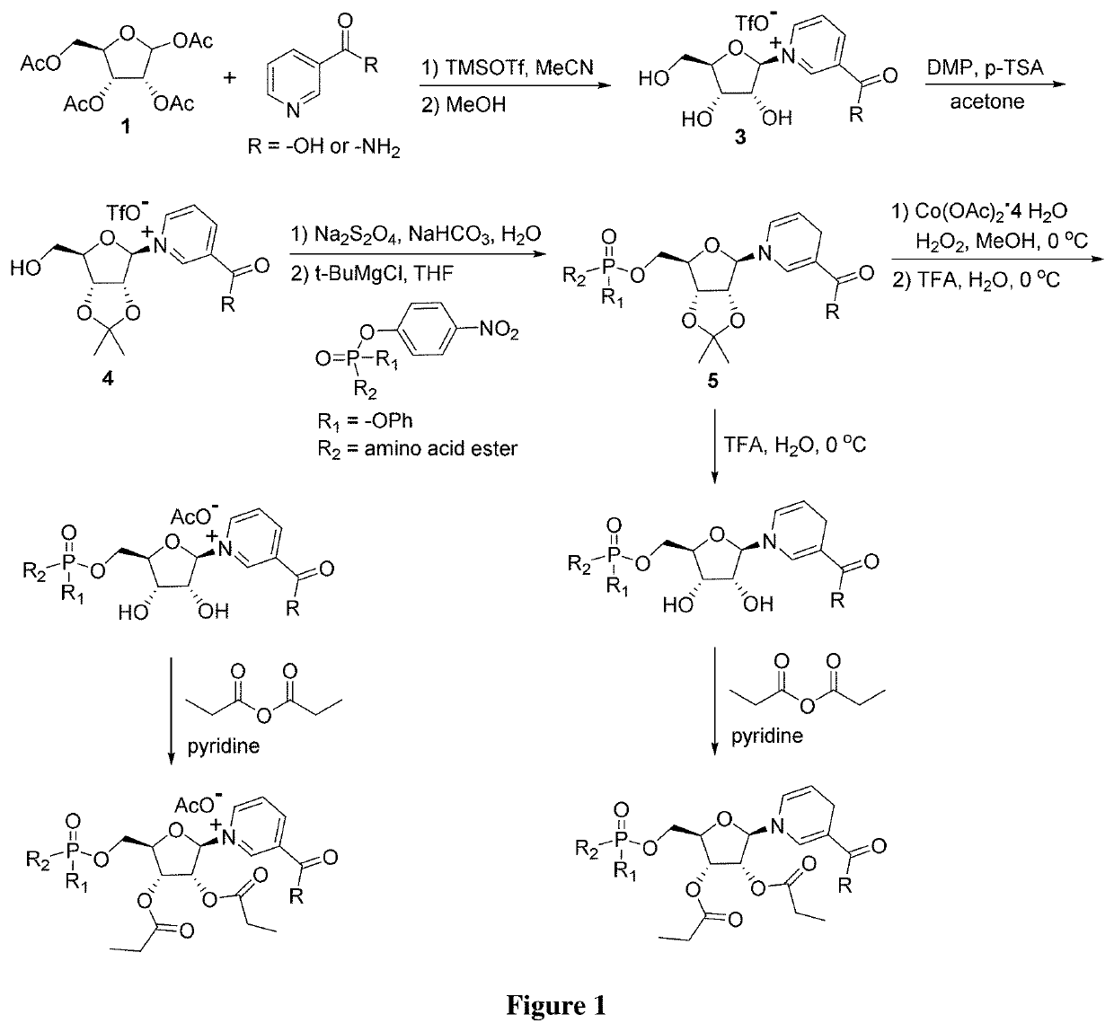 Nicotinamide riboside derivatives and their uses