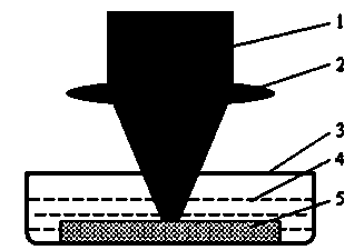 Pulse laser-induced preparation method of zinc oxide nano-structure