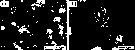 Pulse laser-induced preparation method of zinc oxide nano-structure