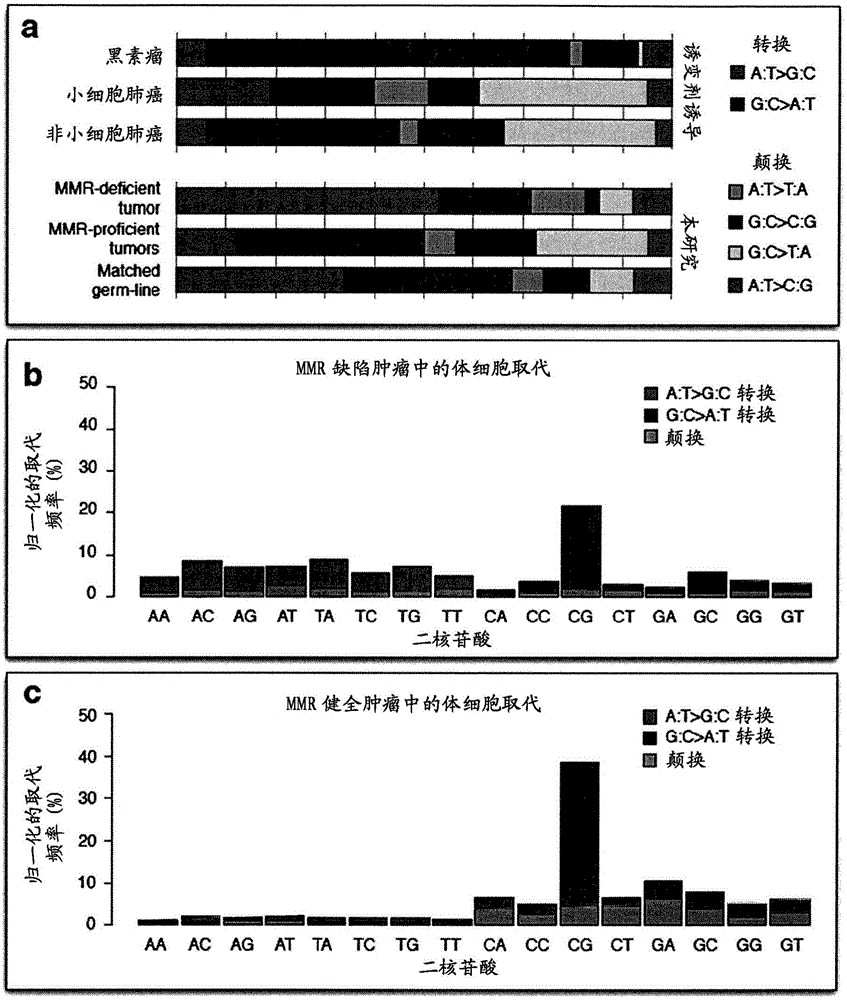 Novel markers for detecting microsatellite instability in cancer and determining synthetic lethality with inhibition of the dna base excision repair pathway