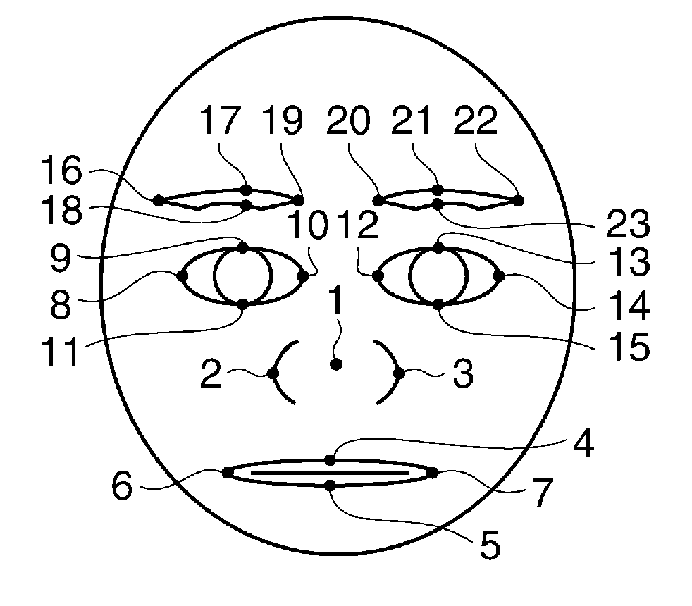 Identification device, identification method, and storage medium