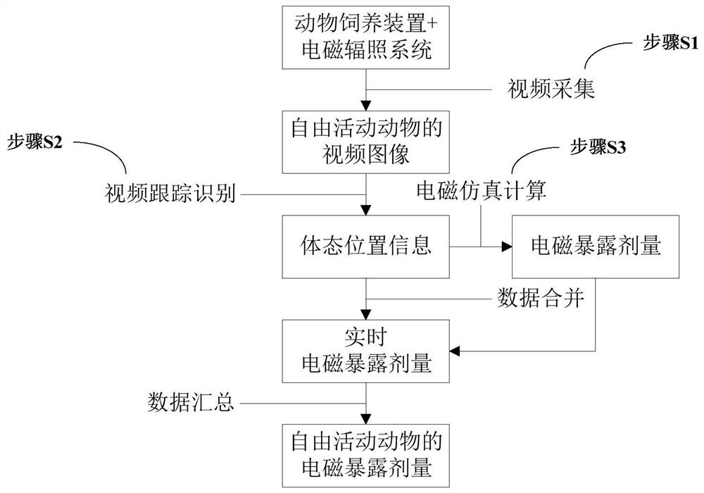 Detection system and detection method of electromagnetic exposure dose of unrestrained animal