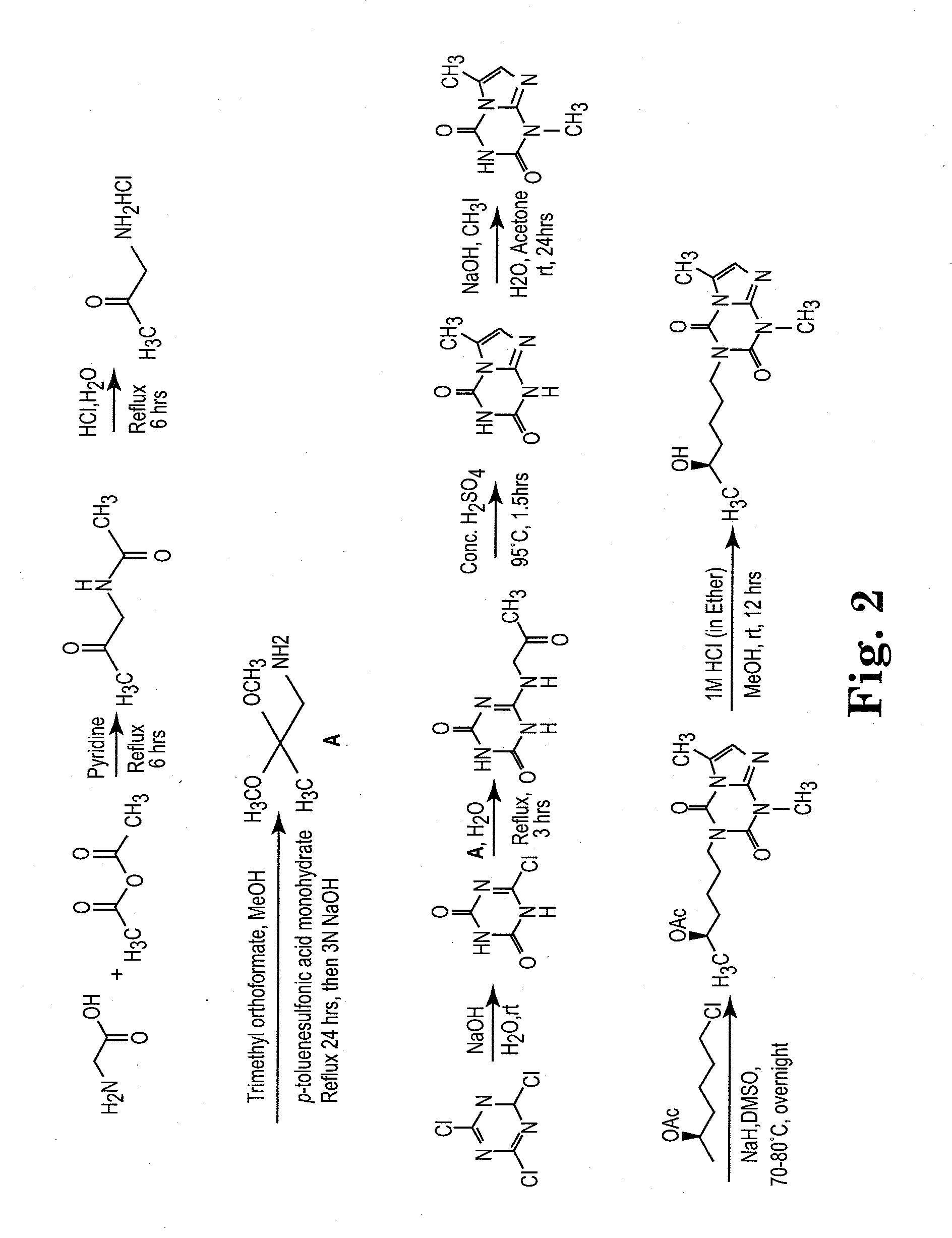 Lisofylline analogs and methods for use