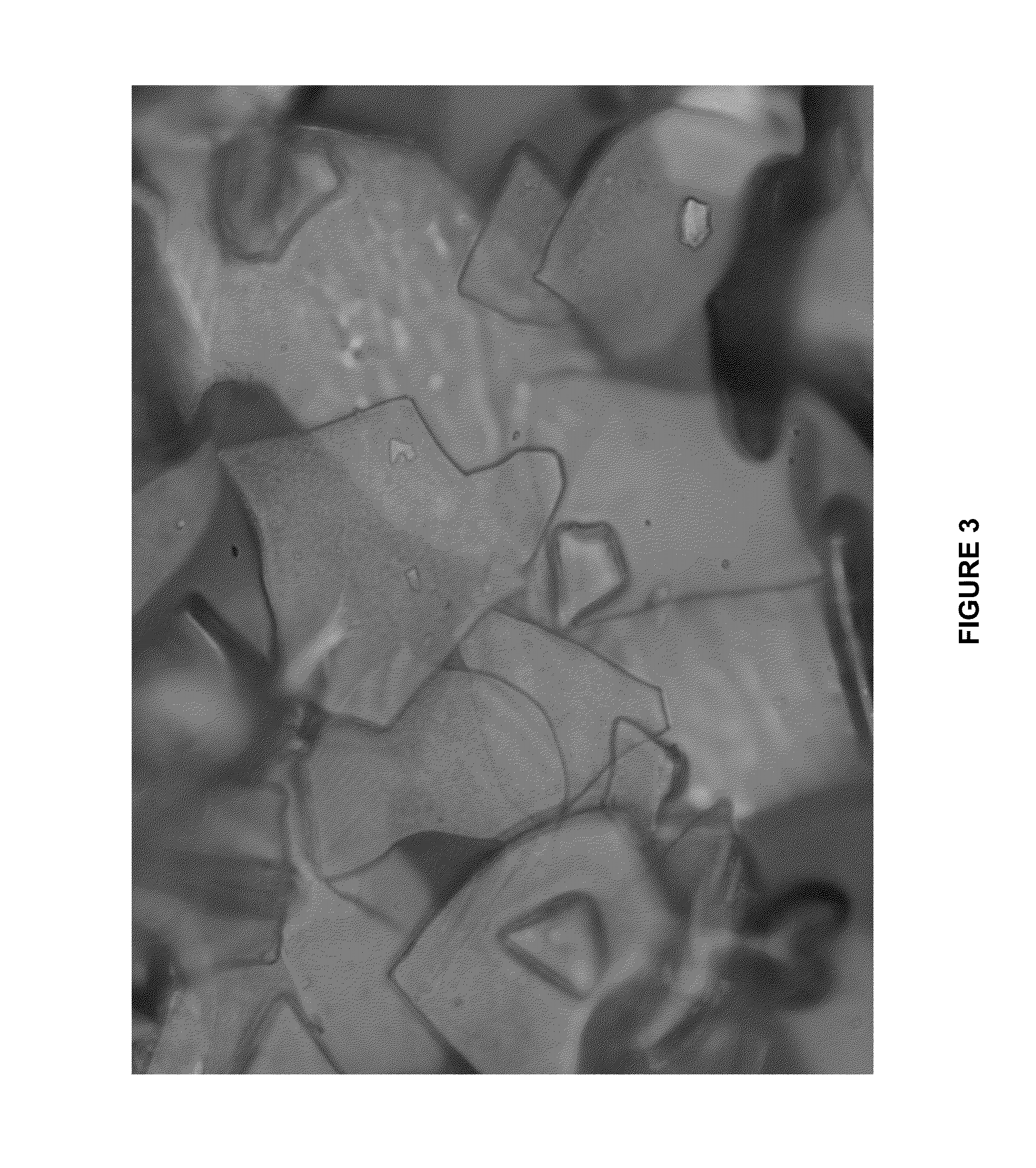 Coated perlite flakes