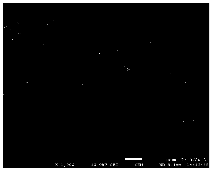 Homogenized alumina ceramic and preparation method thereof