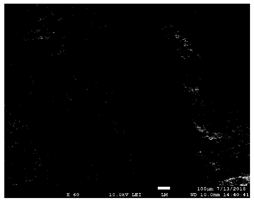 Homogenized alumina ceramic and preparation method thereof