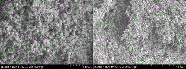 Preparation method of magnetic ferric oxide/bagasse active carbon