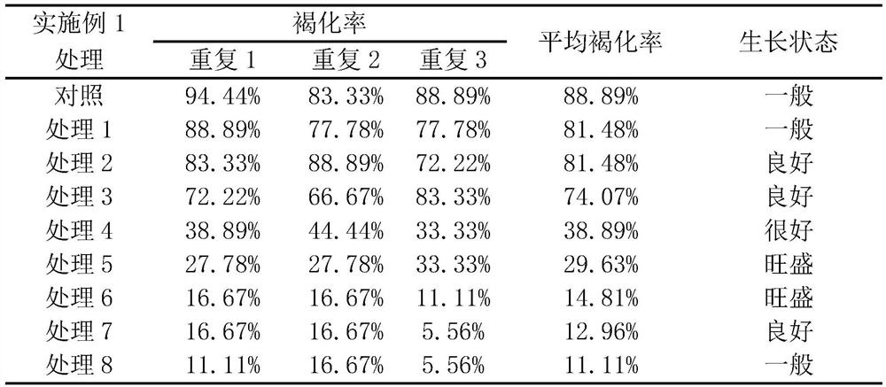 A method for preventing browning of stem segments in tissue culture of Leopard camphora and culture medium thereof