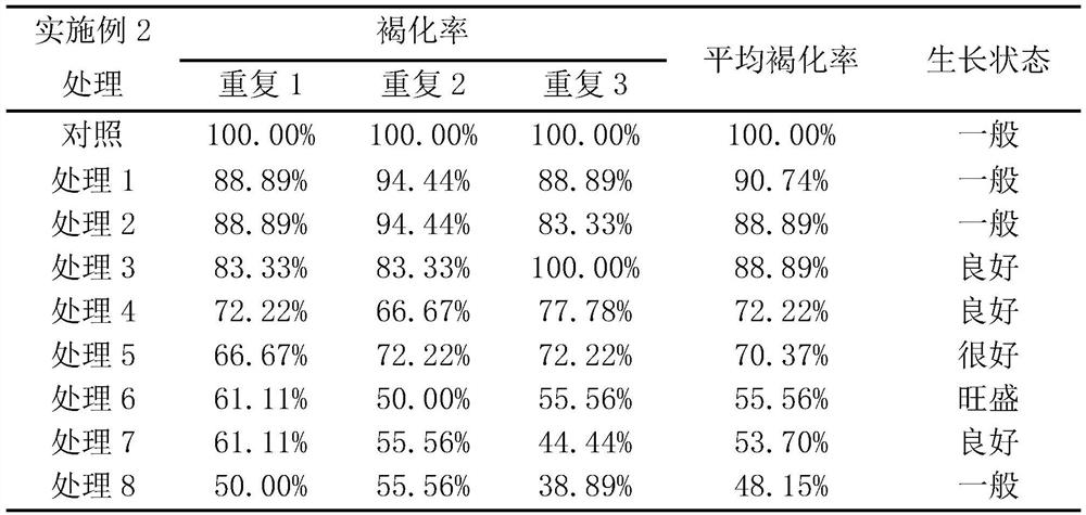 A method for preventing browning of stem segments in tissue culture of Leopard camphora and culture medium thereof