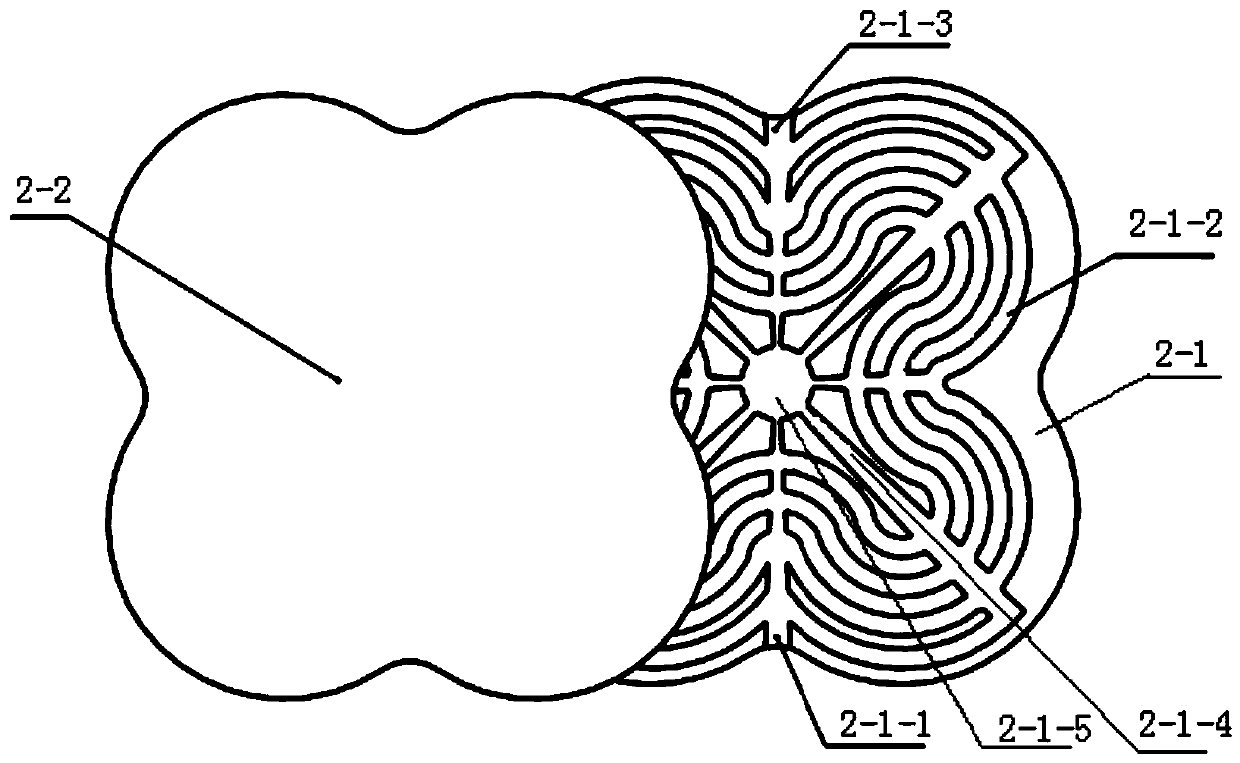 A kind of imitation plum-shaped micro-channel heat sink cold plate and its cooling device