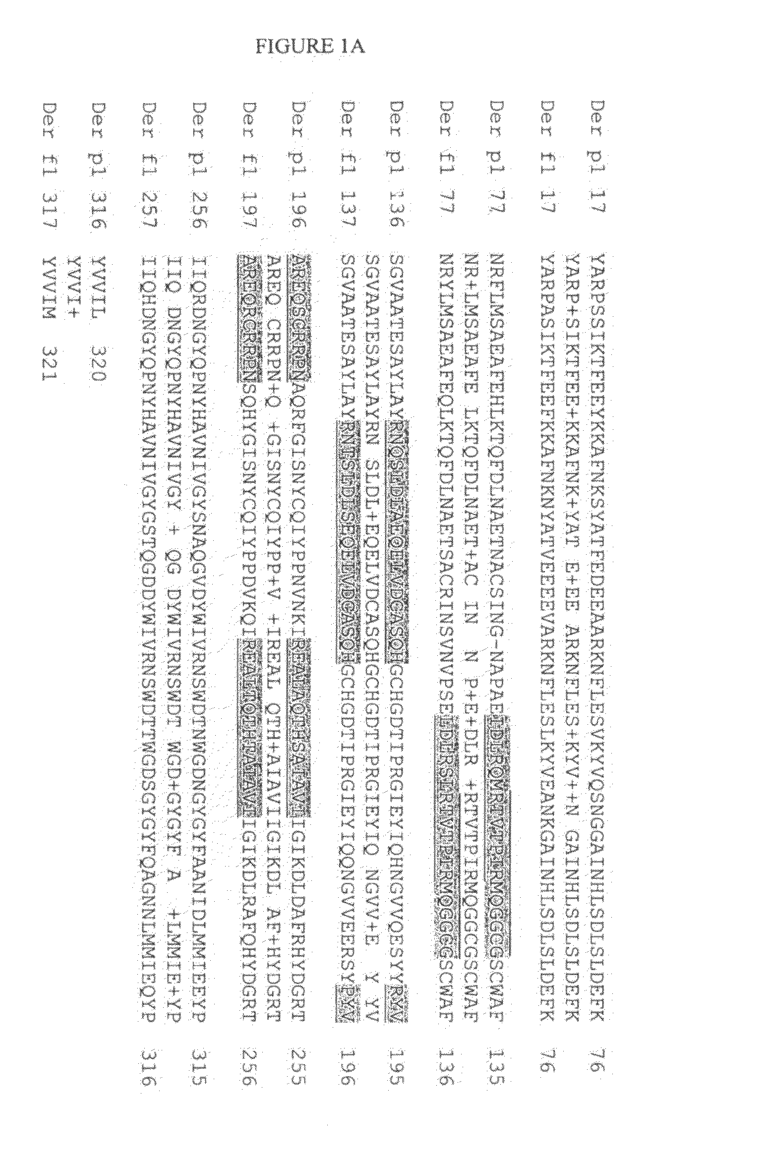 Peptide for vaccine